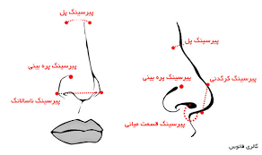 پرسینگ بینی