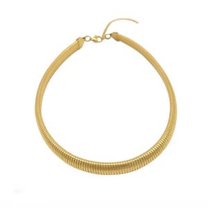 زنجیر امگا (Omega Chain)