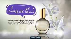 رایحه یا نت عطر- Note