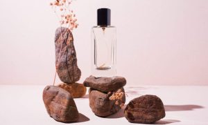 نت‌های پایه – Base Notes